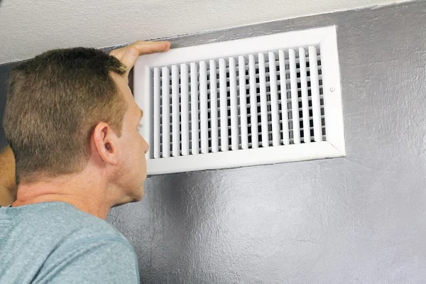 Mold Remediation
